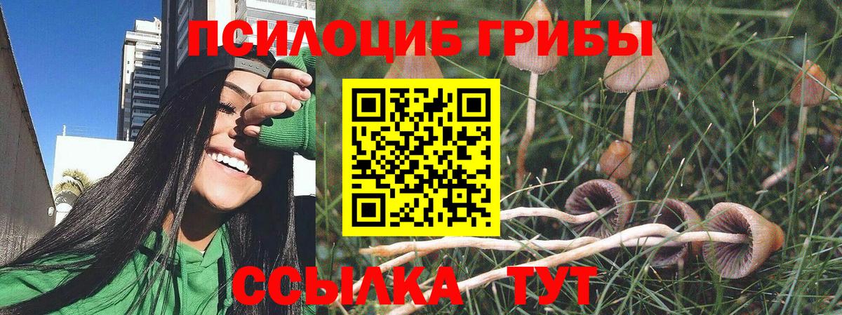 Бузулук  Псилоцибиновые грибы Magic Shrooms  Вход с VPN 